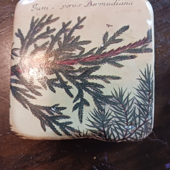 Coaster Set - Picture 6 of 12